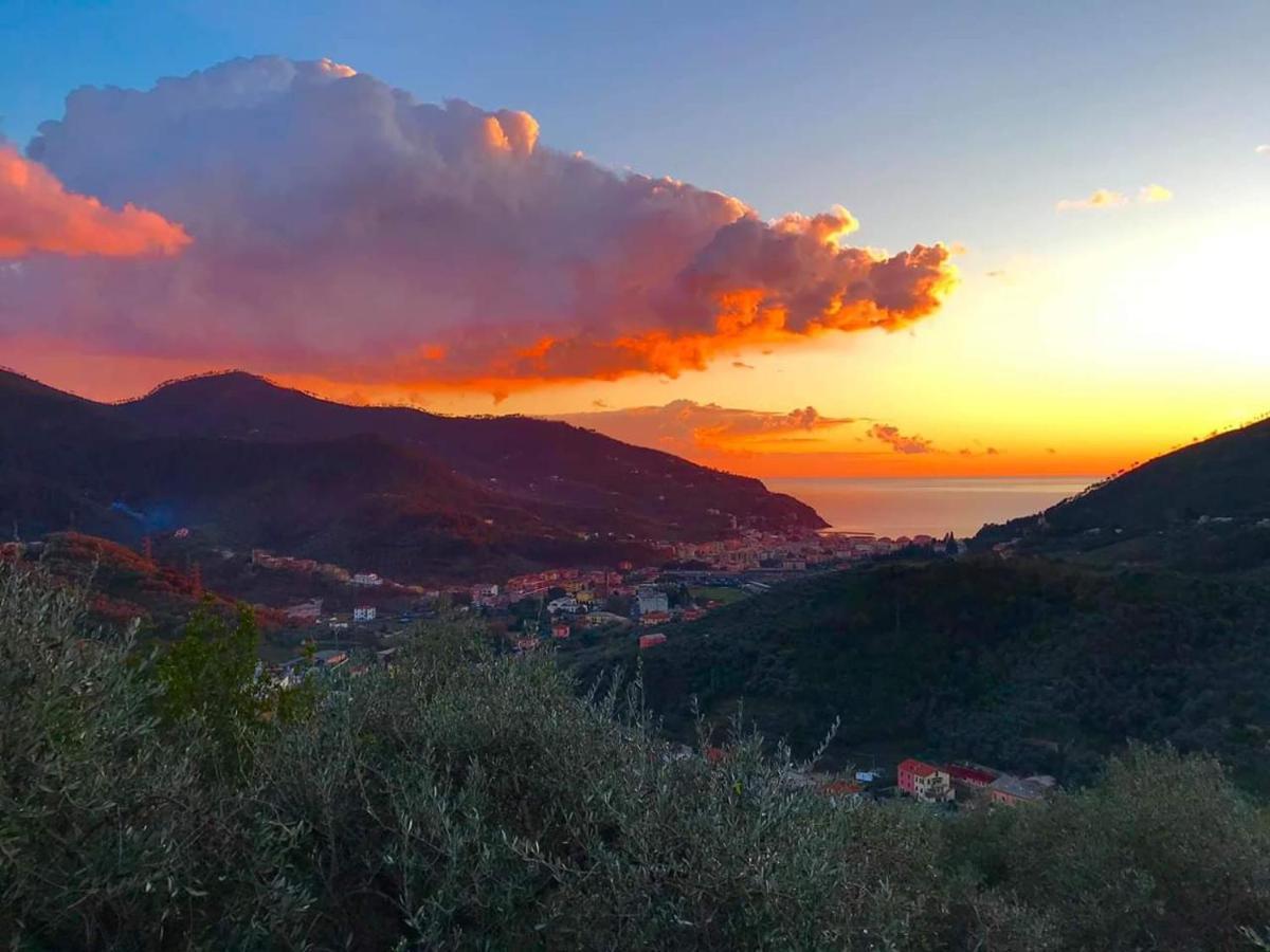 Casa Sofia Διαμέρισμα Λεβάντο Εξωτερικό φωτογραφία